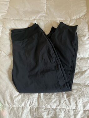 Patagonia Lined Happy Hike Joggers